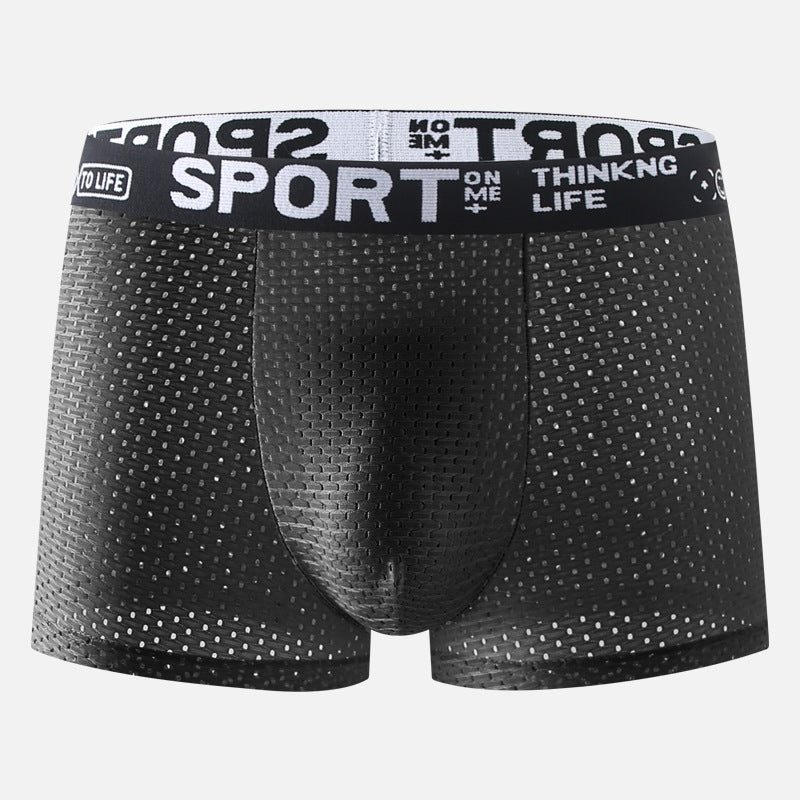 Men's Underwear Ice Silk Mesh Boxers.