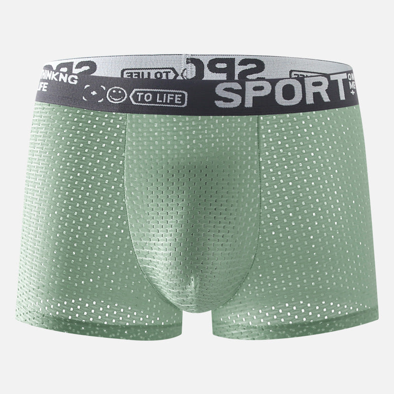 Men's Underwear Ice Silk Mesh Boxers.