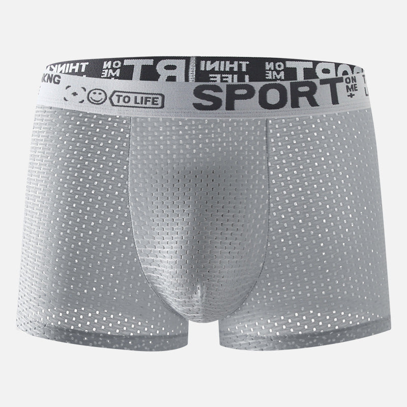 Men's Underwear Ice Silk Mesh Boxers.