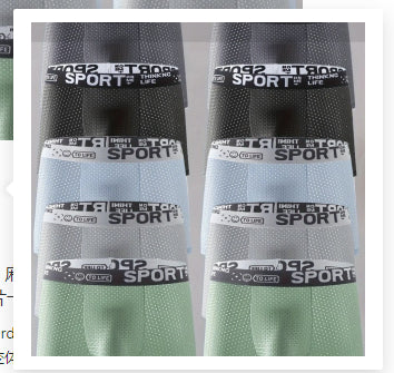 Men's Underwear Ice Silk Mesh Boxers.