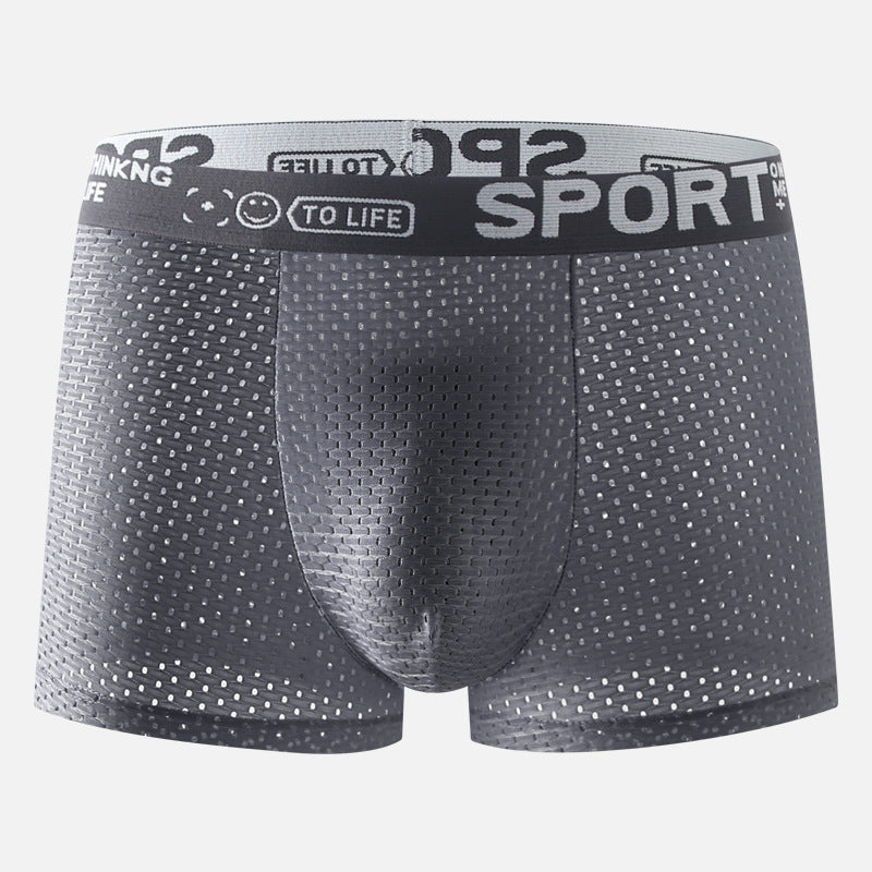 Men's Underwear Ice Silk Mesh Boxers.